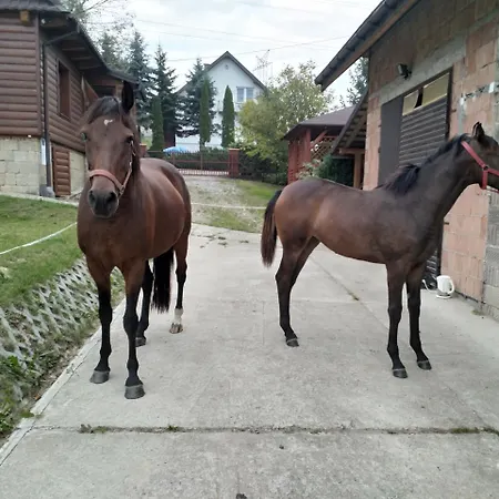 Sliwkowy Sad Farma *