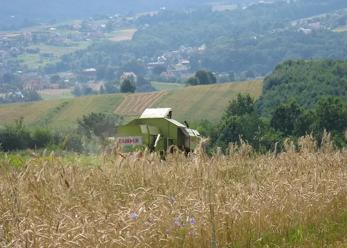 Farmház Sliwkowy Sad *