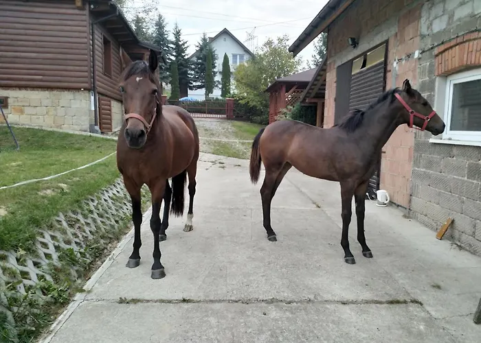 Sliwkowy Sad Farmház *